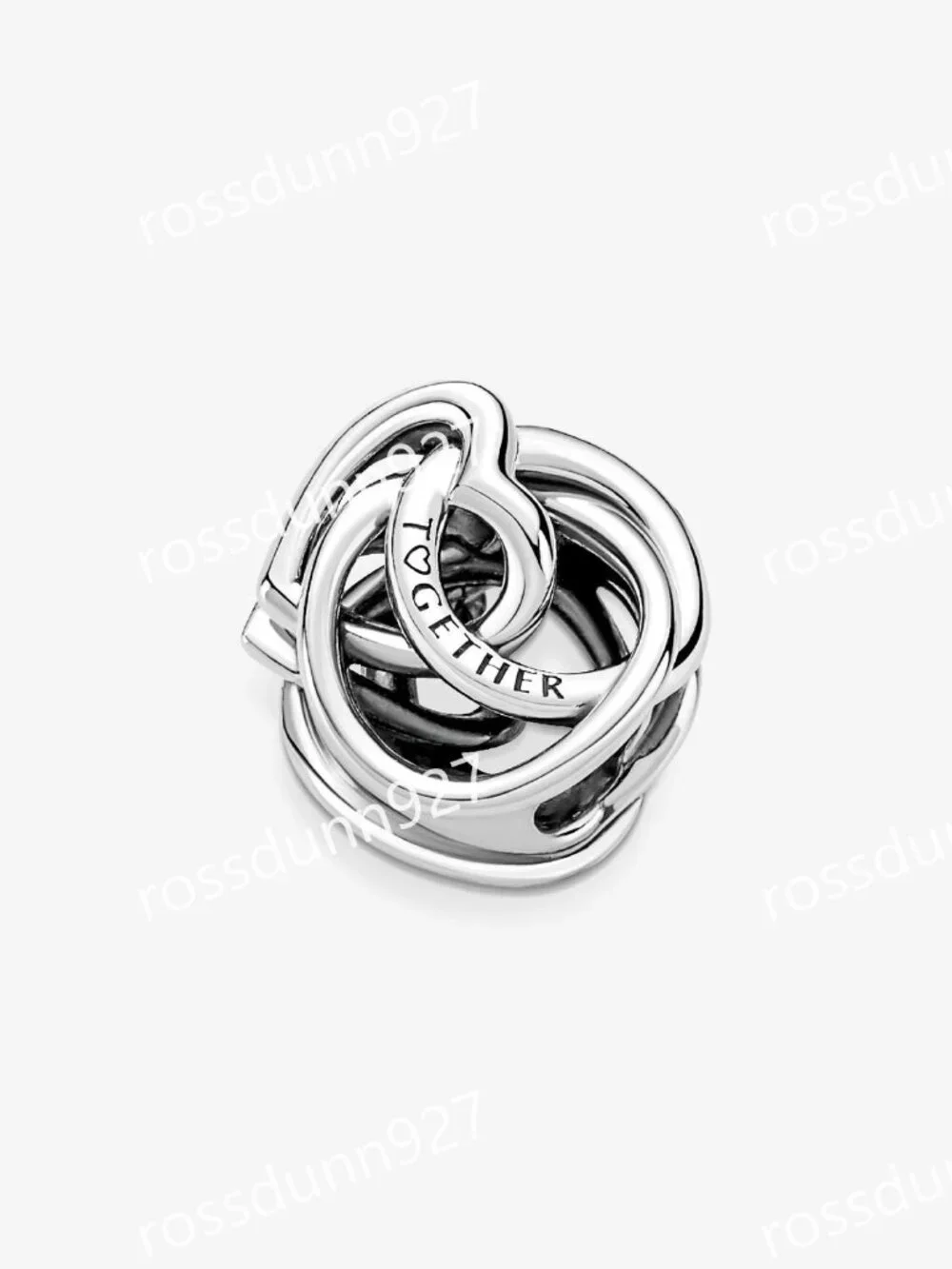 Pandora Family Always Encircled Heart Charm